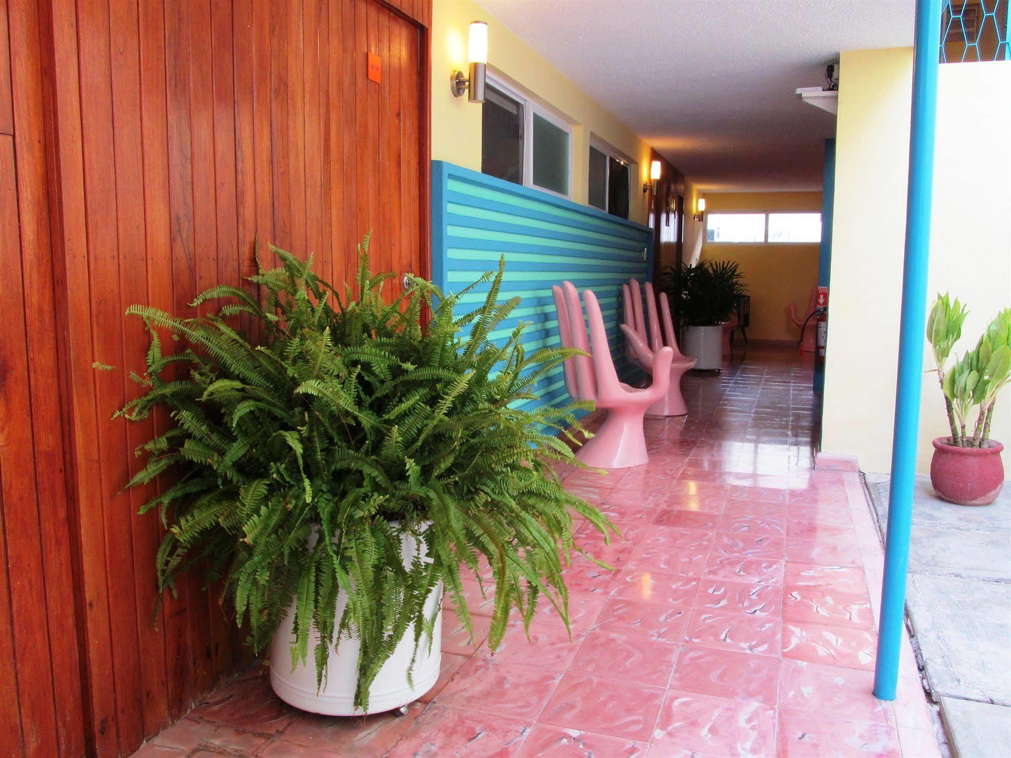 Hotel Maria Guadalupe 巴利亚多利德 外观 照片